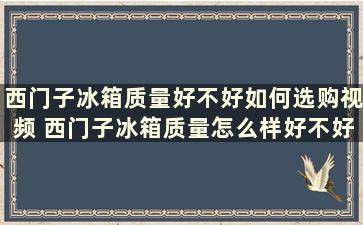 西门子冰箱质量好不好如何选购视频 西门子冰箱质量怎么样好不好